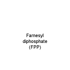 Farnesyl diphosphate (FPP)
